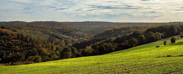 Bewaldete Höhen des Steigerwalds bei Eltmann
