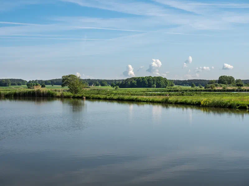 Fischweiher bei Biengarten in der Teichlandschaft des Aischgrunds
