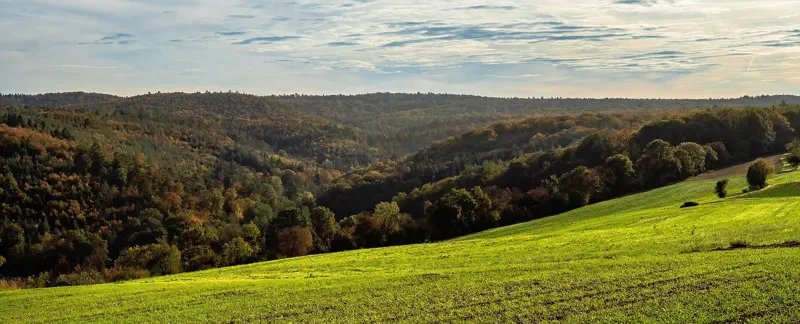 Herbstlich gefärbter Steigerwald bei Eltmann